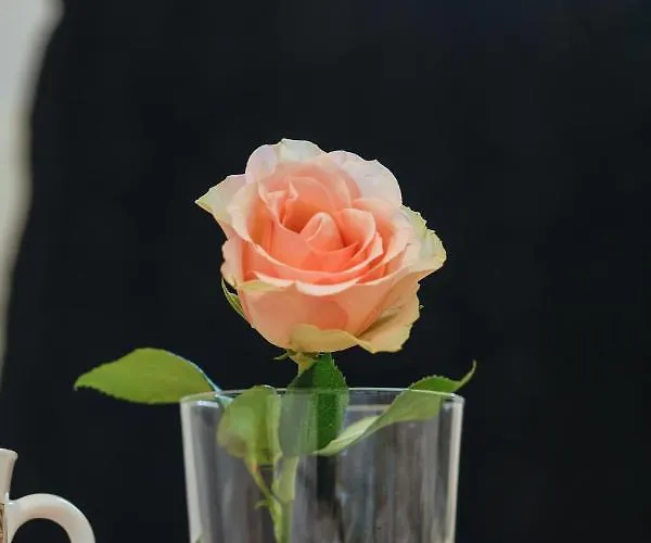 Osiedle Bursztynowe Baltycka By Renters Kołobrzeg